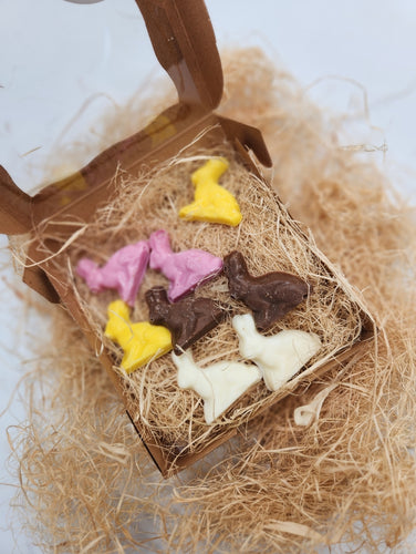 Easter Bunnie Chocolates