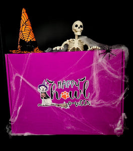 Howl-O-Ween Small Mystery Box PRE ORDER ONLY